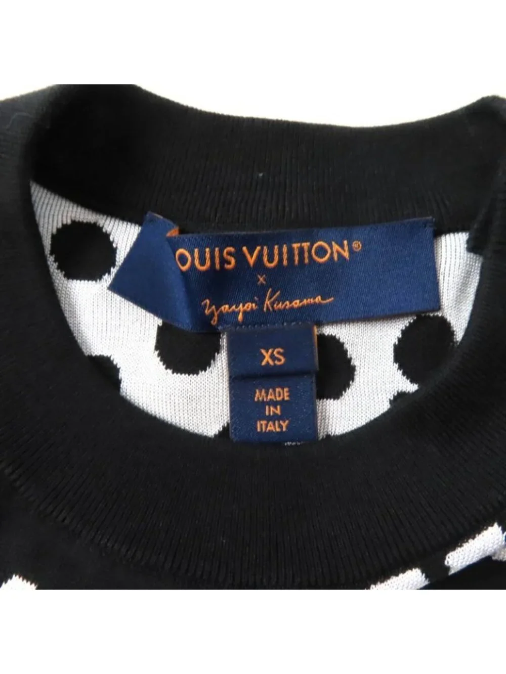 Louis Vuitton brand louis